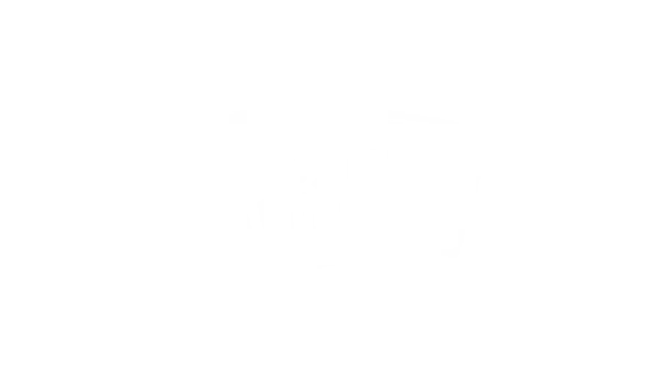 M F29736a481
